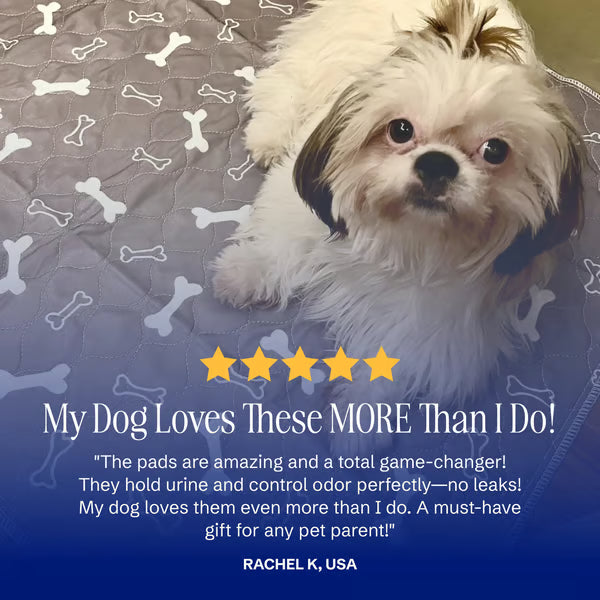 🐶😸Premium Reusable Super Absorbent PuppyPad🐾 (Kitten & Other Pets)