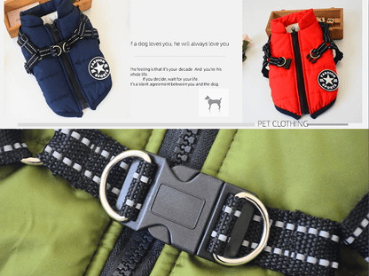 🐶3 in 1 Winter Waterproof Warm Dog Jacket With Built-in Harness