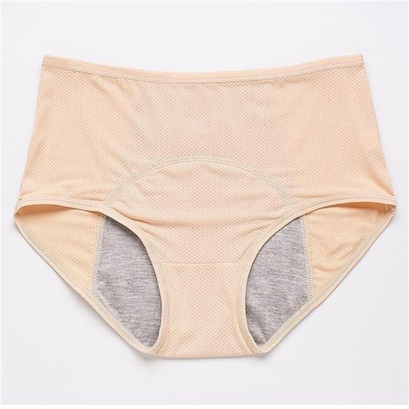 🔥 New women's Upgrade High Waist Leak Proof Panties