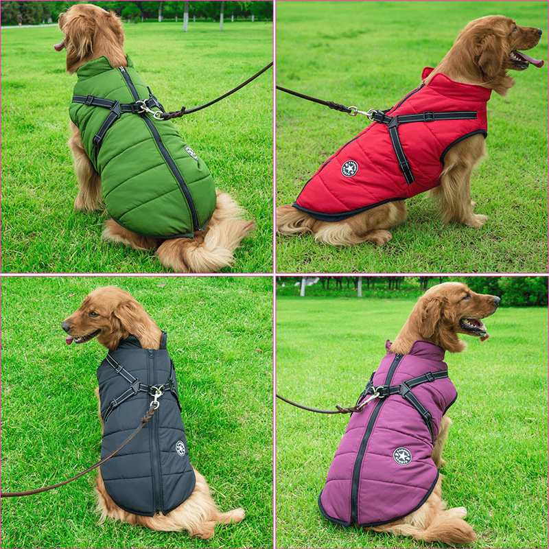 🐶3 in 1 Winter Waterproof Warm Dog Jacket With Built-in Harness