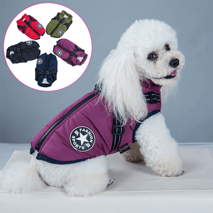 🐶3 in 1 Winter Waterproof Warm Dog Jacket With Built-in Harness