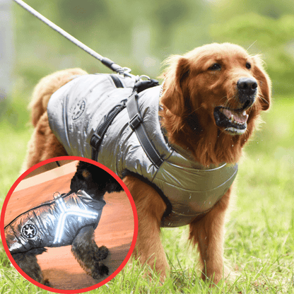 🐶3 in 1 Winter Waterproof Warm Dog Jacket With Built-in Harness