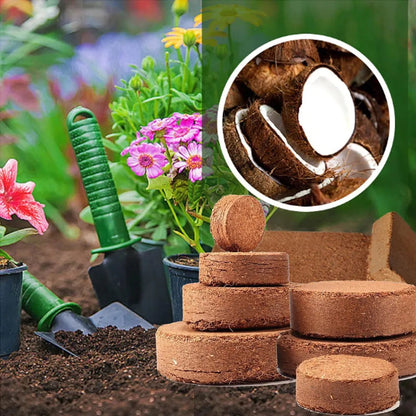 ✨ Premium Organic Coconut Coir Bricks for Plants