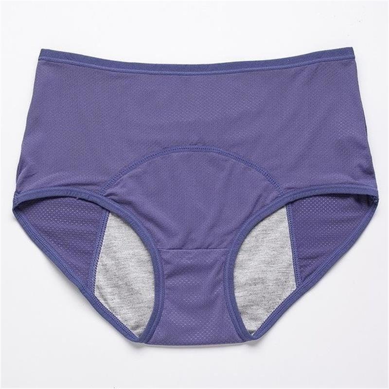 🔥 New women's Upgrade High Waist Leak Proof Panties