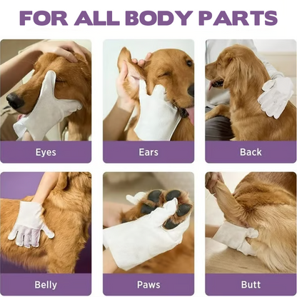 Rinse-Free Pet Cleaning Deodorizing Gloves