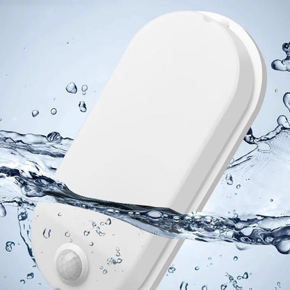 Motion Activated LED Wall Light